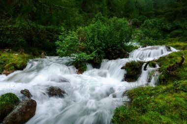 Yazın yeşil bir vadi arasında bir sürü basamağı olan beyaz soğuk dağ deresi.