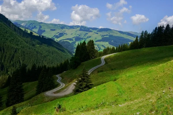 Strada Sterrata Sinuosa Immersa Nel Verde Delle Colline Durante Escursioni — Foto Stock