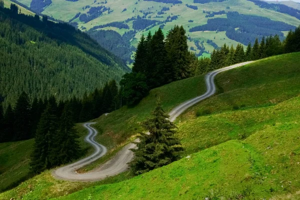 Kurvige Schotterstraße Einer Frischen Grünen Naturlandschaft Detailansicht — Stockfoto