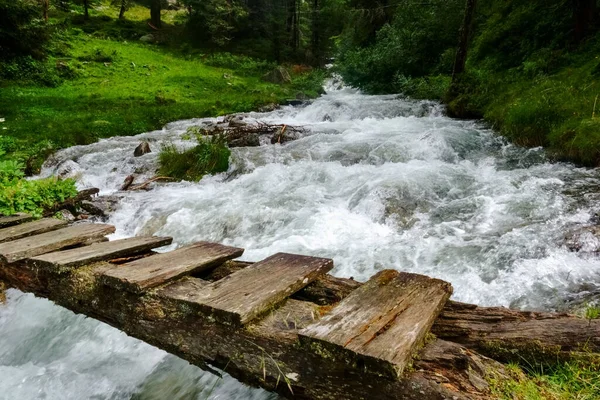 Brigata Legno Torrente Montagna Freddo Frettoloso Durante Escursione Austria — Foto Stock