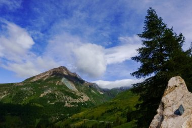 Yüksek çam ağacı ve yüksek yeşil dağlar. Muhteşem mavi gökyüzü tatilde.