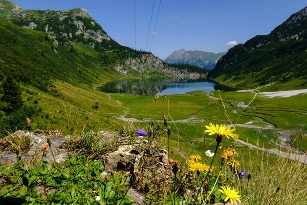 休暇中に山の湖と緑の風景の中に新鮮なカラフルな花 — ストック写真