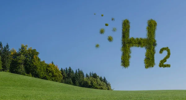 自然界中的丘陵绿色草甸上有绿叶H2的字母 — 图库照片