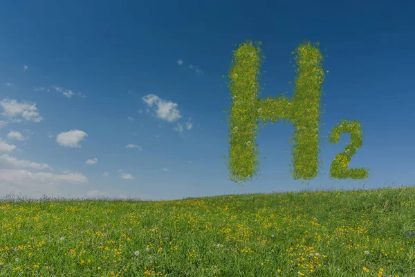 Groene Waterstof Letters Zweeft Boven Een Freh Weide Met Blauwe — Stockfoto