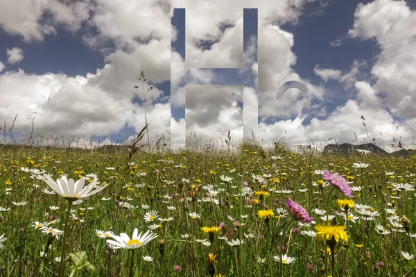 牧草地に咲く色とりどりの花と自然を映し出すH2水素文字 — ストック写真