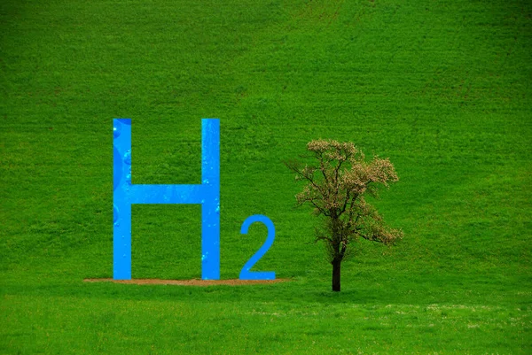 Niebieski Hydogen Litery Obok Drzewa Zielonej Łące Naturze — Zdjęcie stockowe