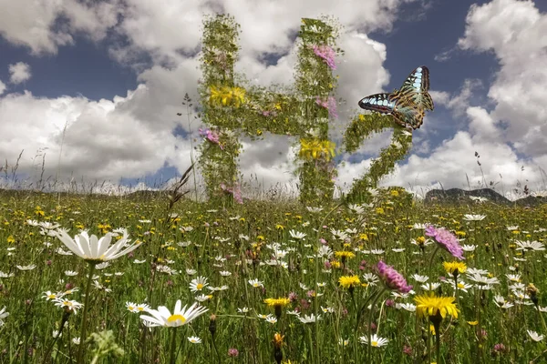 Hidrógeno Letras Prado Con Flores Una Gran Mariposa Naturaleza — Foto de Stock