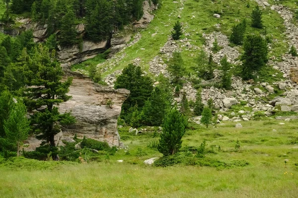 Riesiger Felsen Zwischen Bäumen Einem Gebirgstal Österreich — Stockfoto