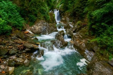Yürüyüş yaparken vahşi bir dağ deresinden harika yeşil su