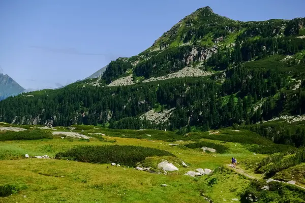 Due Escursionisti Sentiero Tra Verdi Montagne Estate Vacanza — Foto Stock