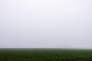 Kışın yoğun gri sis altında yeşil alanlar