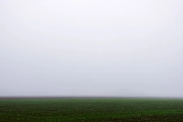 Campos Verdes Niebla Gris Muy Densa Invierno — Foto de Stock