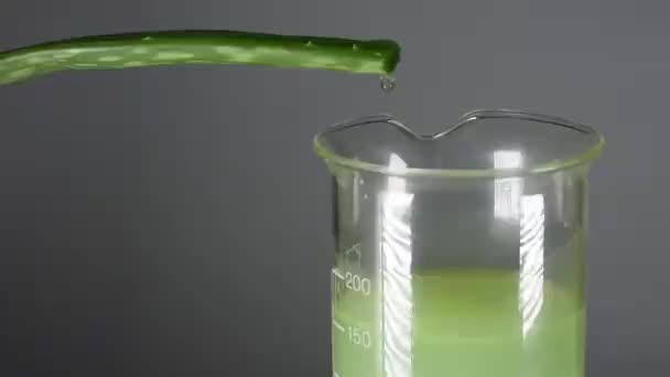 Aloe Vera Tropfen Zeitlupe Für Die Medizin — Stockvideo