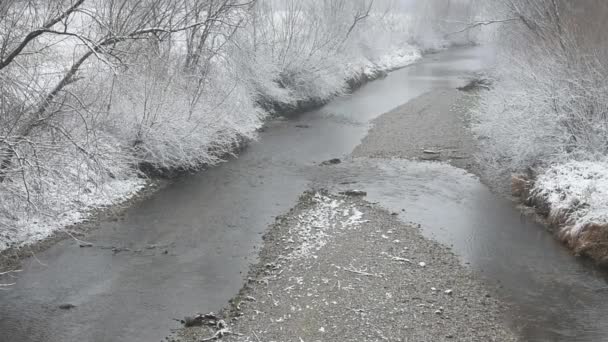 Cinemagraph Arroyo Invierno Naturaleza — Vídeos de Stock