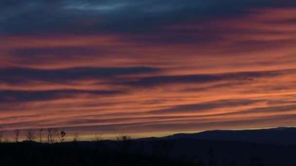 Rote Wolken Bei Sonnenuntergang Mit Schwarzem Wald — Stockvideo