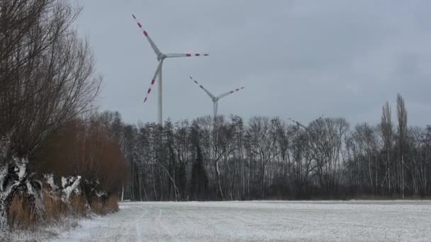 Roues Vent Dans Paysage Hivernal Avec Neige — Video