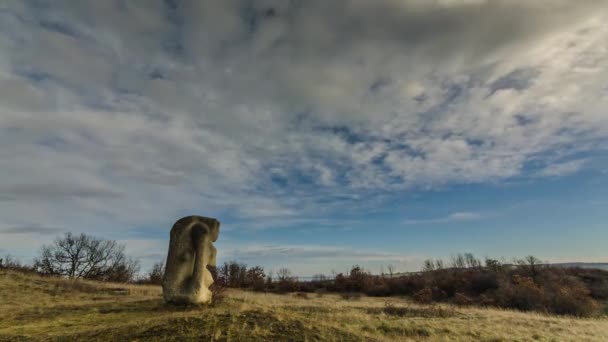 Tid Förflutit Sten Skulptur Naturen Ett Naturreservat — Stockvideo