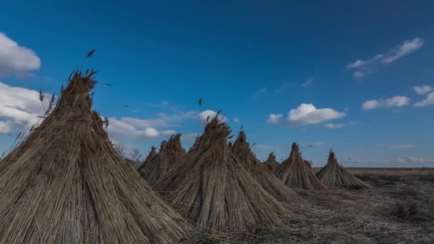 Zeitraffer Aus Strohpost Und Wolken See Mit Blauem Himmel — Stockvideo