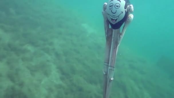 夏に湖でダイビング中に水中で面白い人形 — ストック動画