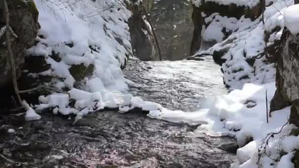 Fließender Bach Einem Wasserfall Mit Schnee Winter Den Bergen — Stockvideo