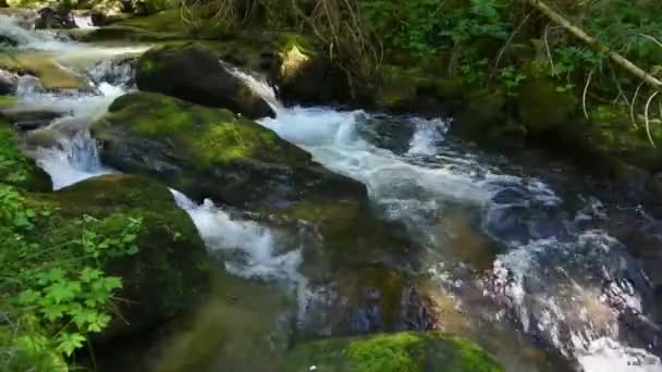 Скелі Мох Торенті Навесні Горах — стокове відео