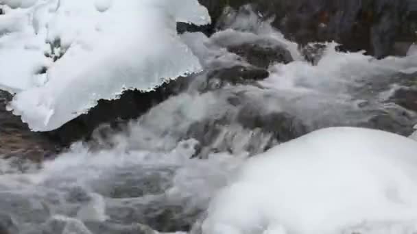 Torrent Χειμώνα Λεπτομερή Θέα Στα Βουνά — Αρχείο Βίντεο