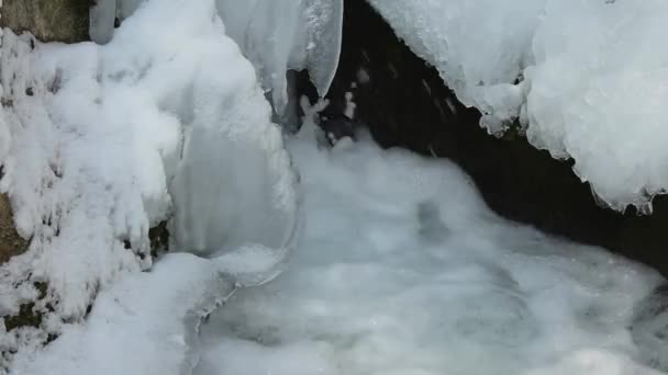 Whitewater Αφρό Και Πάγο Στα Βουνά Χειμώνα — Αρχείο Βίντεο