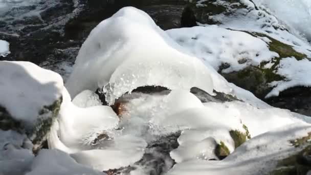 Molti Corsi Acqua Con Ghiaccio Neve Durante Escursioni Inverno — Video Stock