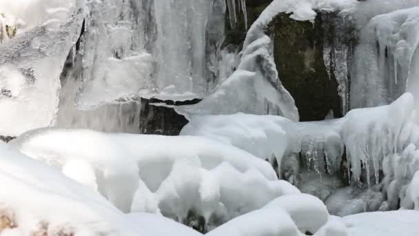 Água Com Gelo Caminhar Inverno — Vídeo de Stock