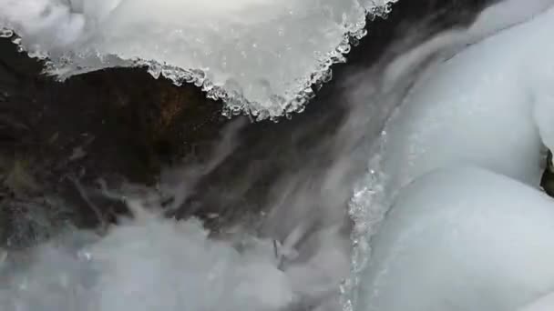 Νερό Μπάλα Πάγου Ενώ Πεζοπορία Χειμώνα — Αρχείο Βίντεο