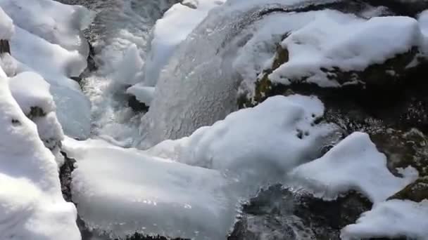 Cascada Con Nieve Hielo Movimiento Mientras Camina Invierno — Vídeo de stock