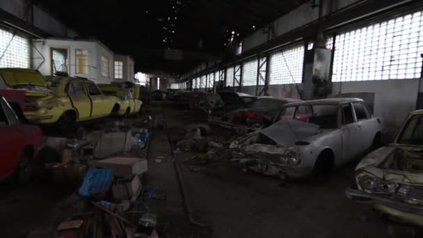 Πολλά Πολύχρωμα Αυτοκίνητα Μια Μεγάλη Αίθουσα Εργαστηρίων — Αρχείο Βίντεο