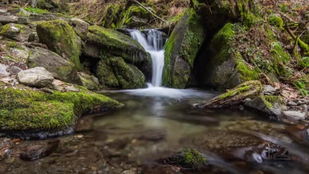 徒步旅行时带着岩石滑落的小瀑布 — 图库视频影像