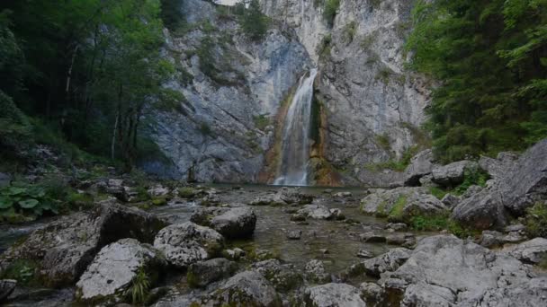 Salza Waterval Het Bos Bergen Tijdens Een Wandeling Bergen — Stockvideo