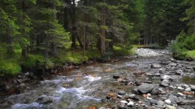 Yaz tatilinde yürüyüş yaparken dağlarda sel