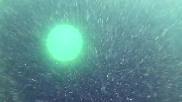 Deux Tubes Pendant Apnée Plongeant Dans Lac Été — Video