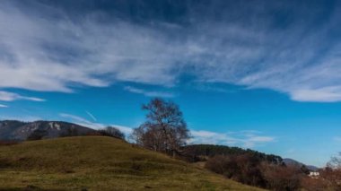 Yürürken bulutlu bir tepede zaman aşımı ağacı