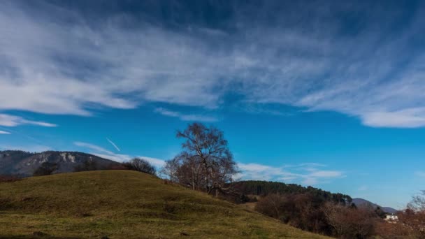 Time Lapse Tree Hill Clouds While Hiking — Stock Video