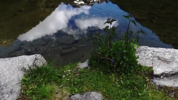 Beau Reflet Des Montagnes Dans Lac Avec Son Des Cloches — Video