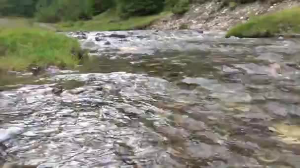 Heldere Ondiepe Beek Uitmondt Een Prachtig Bergmeer Met Groen Landschap — Stockvideo