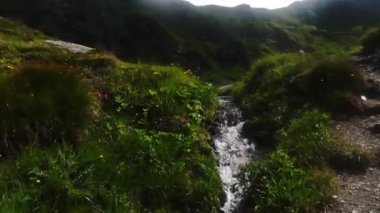 Avustralya 'daki harika bir dağ gölüne doğru yokuş yukarı yürürken küçük temiz bir dere.