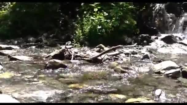 度假时带着瀑布爬过一条小溪 — 图库视频影像
