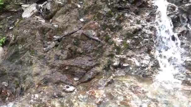 徒步旅行时 小瀑布从陡峭的山崖上滑落 — 图库视频影像