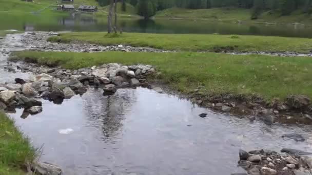 夏の休暇にハイキング中に山の湖に多くの豪華な小さな小川 — ストック動画