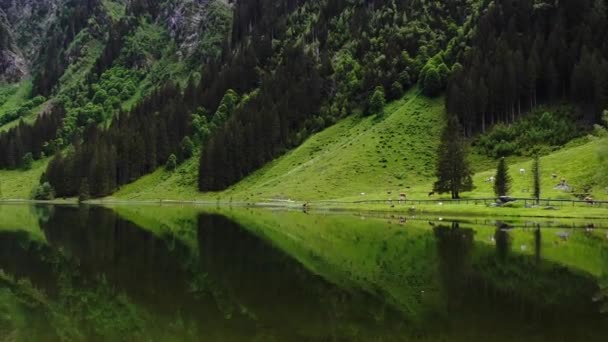 Панорамный Вид Великолепное Горное Озеро Большой Водопад Звуком Колоколов Коров — стоковое видео