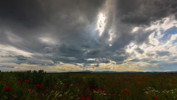 Timelapse Ciemnymi Burzliwymi Chmurami Deszczowymi Promieniami Słońca Czerwonym Polem Maku — Wideo stockowe