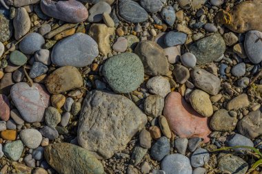 Güneşin altında yürürken bir sürü renkli taş