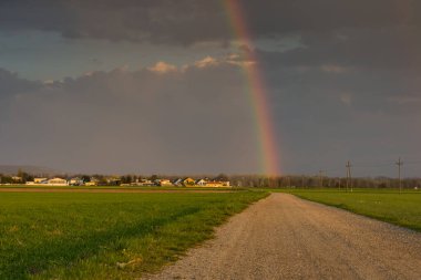 Baharın sonunda yeşil tarlalar ve gökkuşağı arasındaki toprak yol