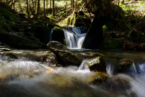 Spruzzando Acqua Con Una Piccola Cascata Nella Foresta Ombreggiata Durante — Foto Stock