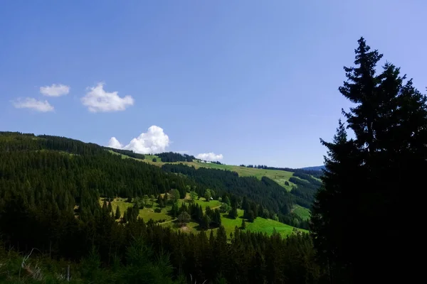 Vista Una Montaña Con Árboles Verdes Prados Con Cielo Azul — Foto de Stock